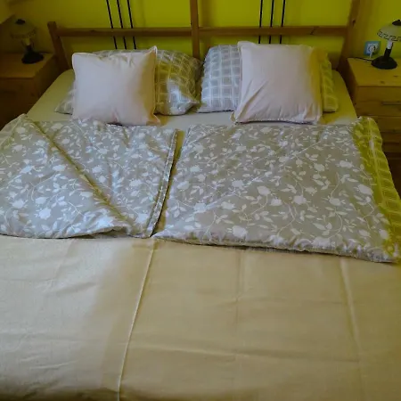 Sobe-apartma Homestay *